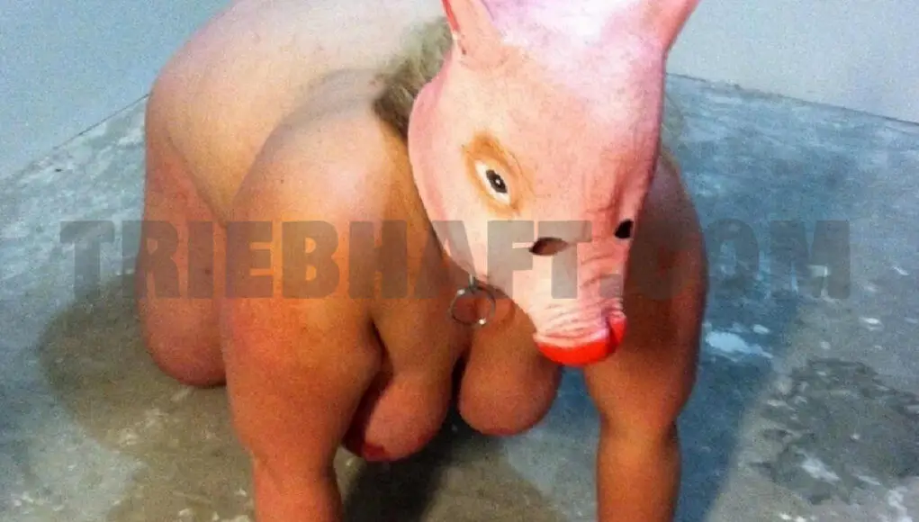 Dreckschwein sucht Schlachter für Sex Dates in Wels.